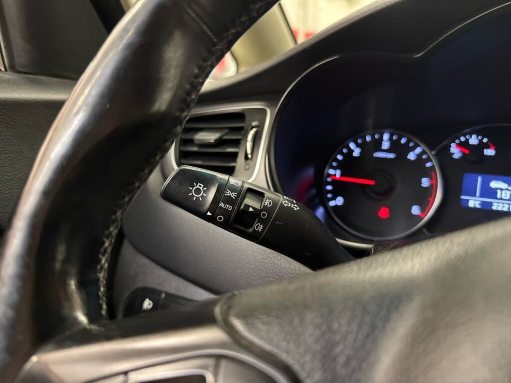 Kia Carens 2013 Ruskea (beige)