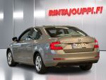 Skoda Octavia 2013 Ruskea (beige)