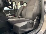 Ford Focus 2014 Ruskea (beige)