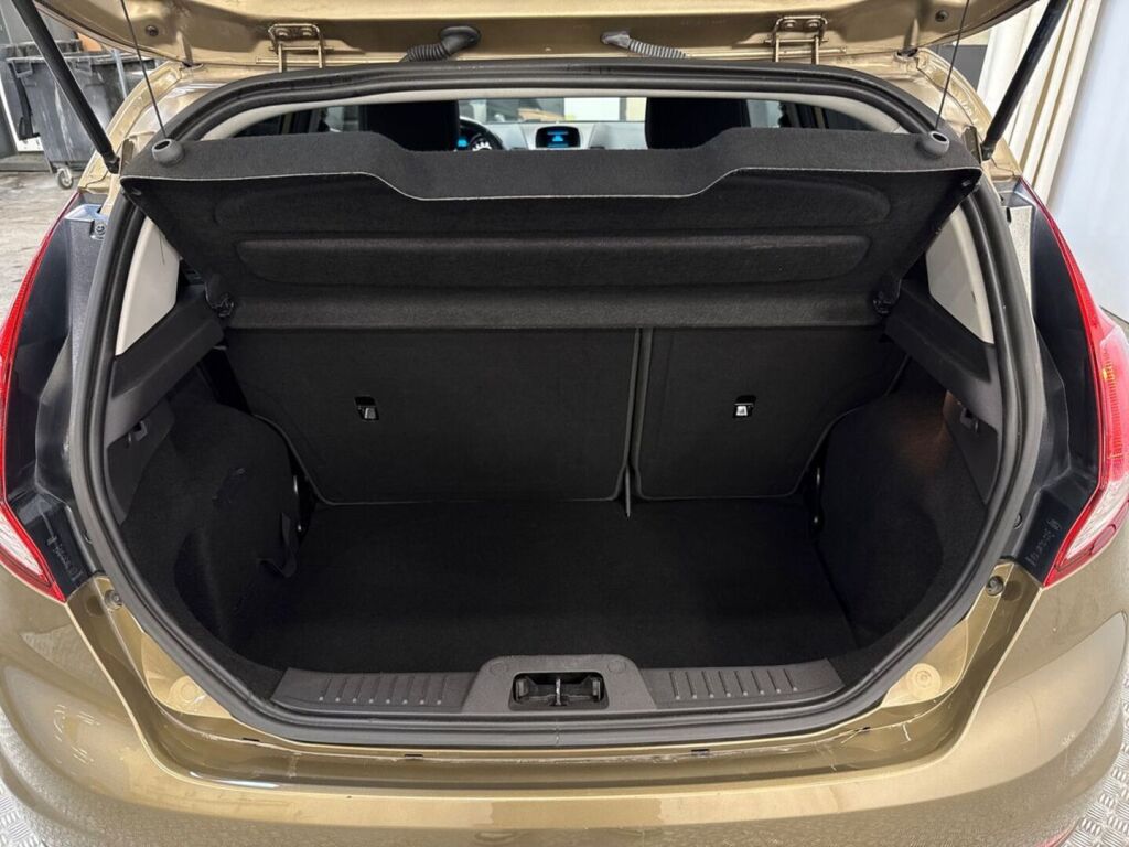 Ford Fiesta 2015 Ruskea (beige)