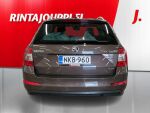 Skoda Octavia 2016 Ruskea (beige)