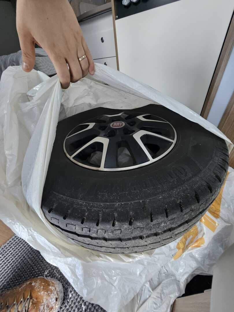 Carado T348 2019 Valkoinen