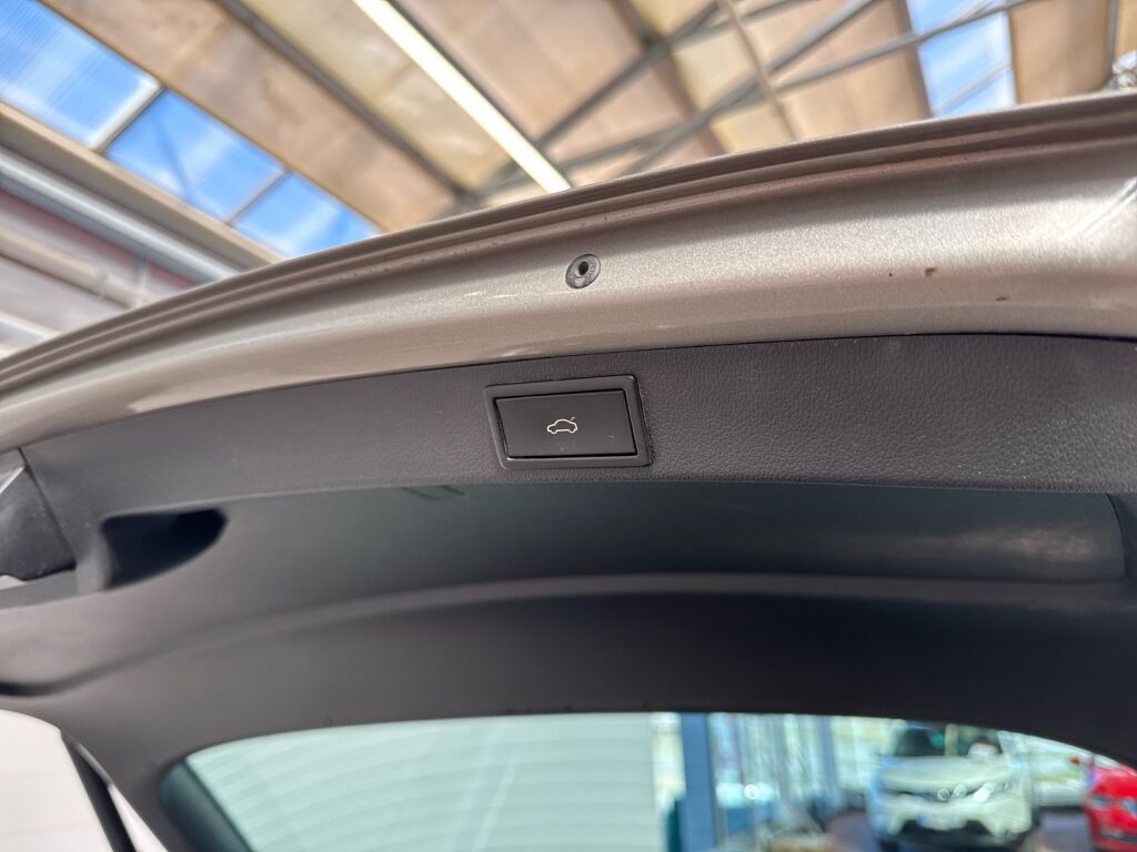 Skoda Octavia 2019 Ruskea (beige)