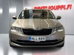Skoda Octavia 2019 Ruskea (beige)