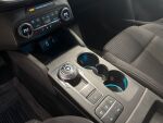 Ford Focus 2019 Punainen