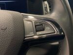Skoda Kodiaq 2019 Harmaa