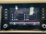 Skoda Kodiaq 2019 Harmaa