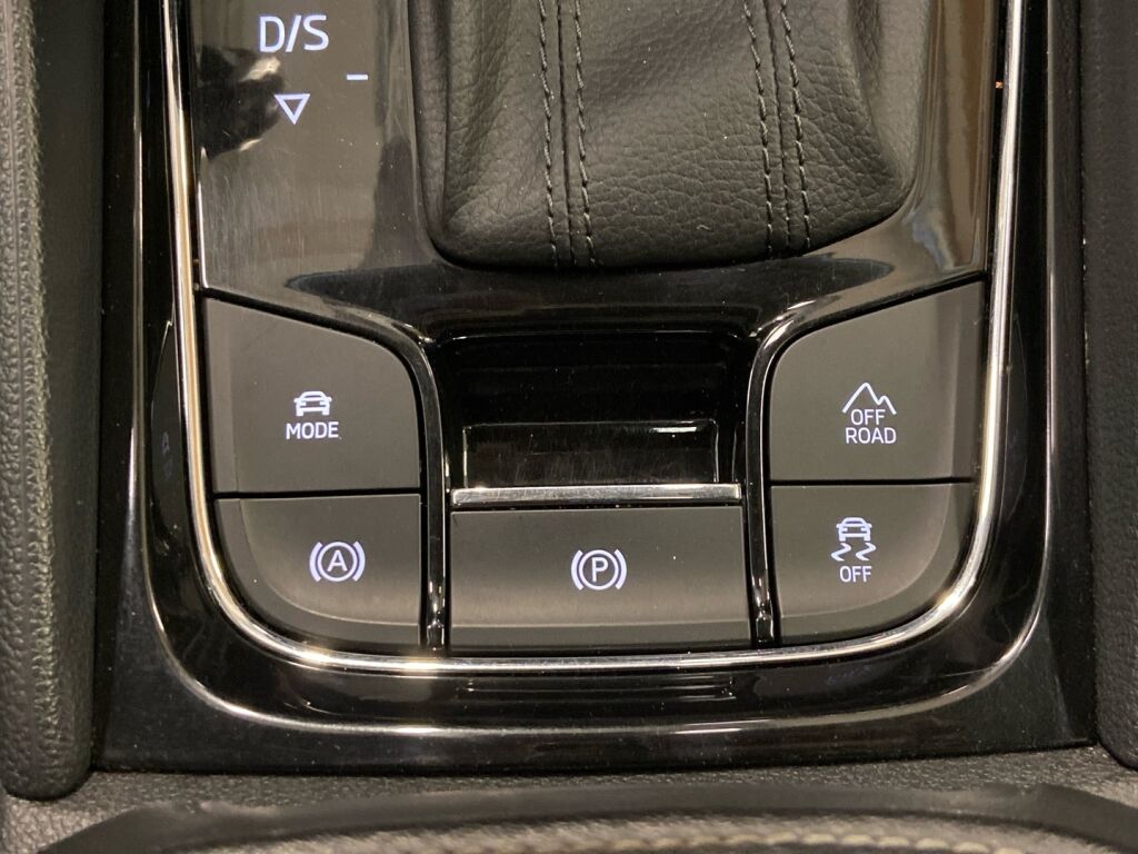 Skoda Kodiaq 2019 Harmaa