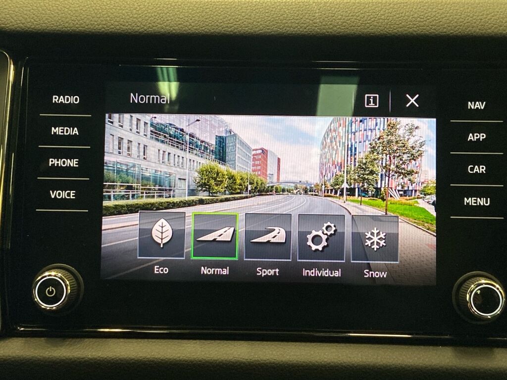 Skoda Kodiaq 2019 Harmaa