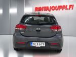 Kia Rio 2019 Harmaa