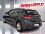 Kia Rio 2019 Harmaa