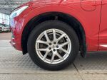 Volvo XC60 2020 Punainen