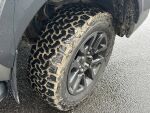 Truckmasters OX 4X4 2021 Harmaa