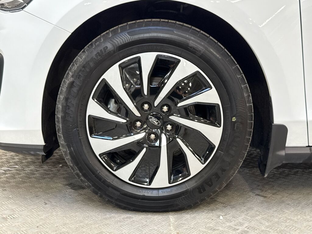 Ford Focus 2023 FROZEN WHITE