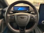 Ford Mustang Mach-E 2021 Musta