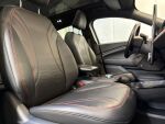 Ford Mustang Mach-E 2021 Musta
