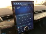 Ford Mustang Mach-E 2021 Musta