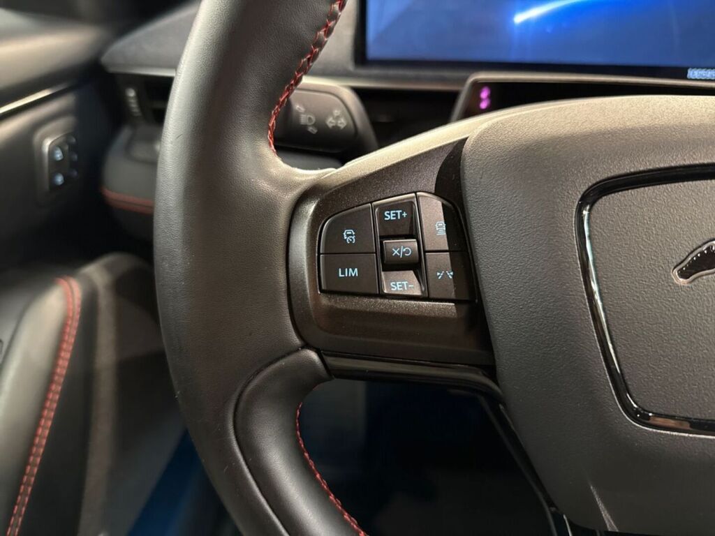Ford Mustang Mach-E 2021 Musta
