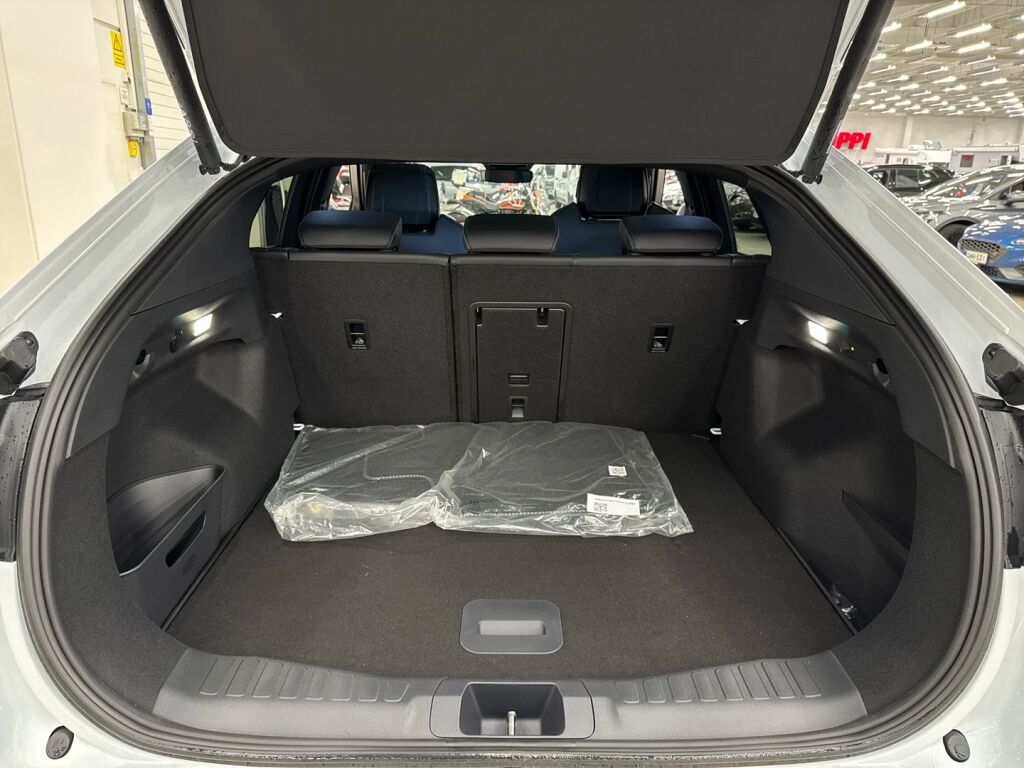 Ford Capri 2026 Valkoinen