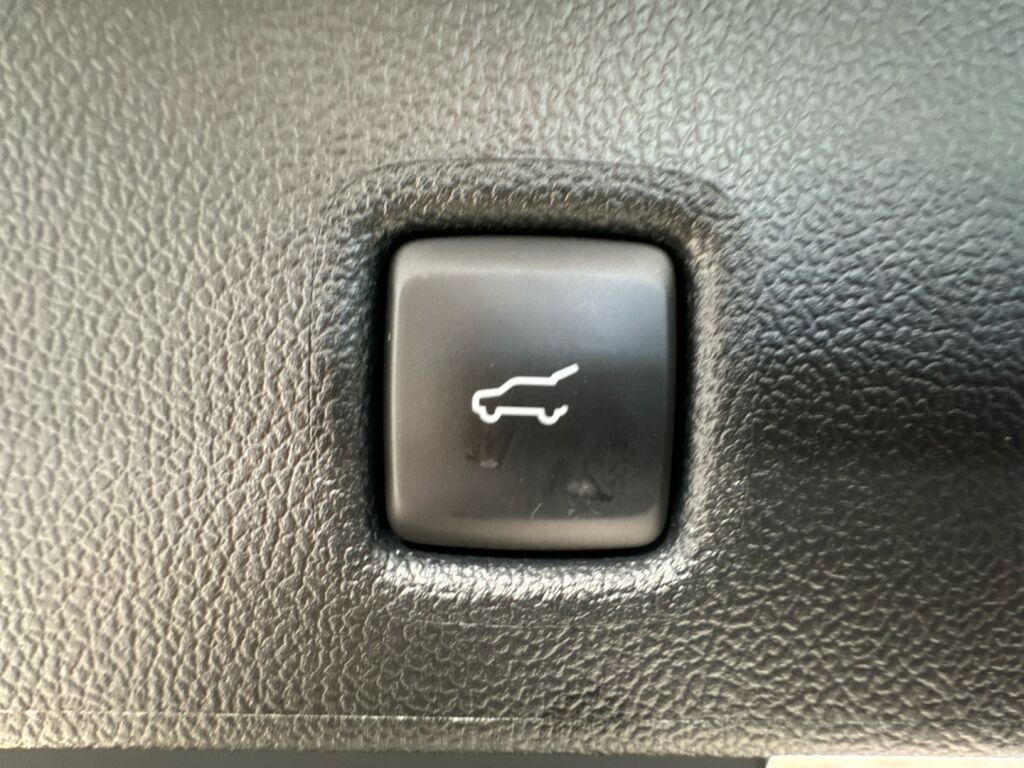 Ford Kuga 2026 Harmaa