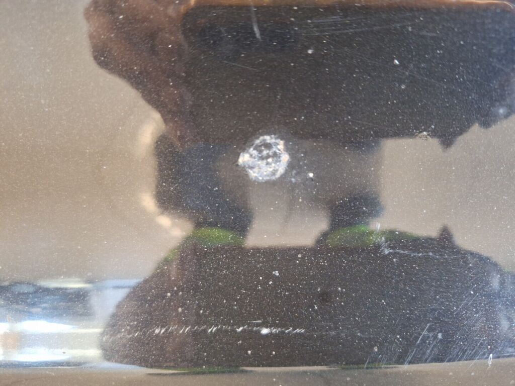 Skoda Octavia 2010 Musta