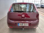 Fiat Punto 2013 Punainen