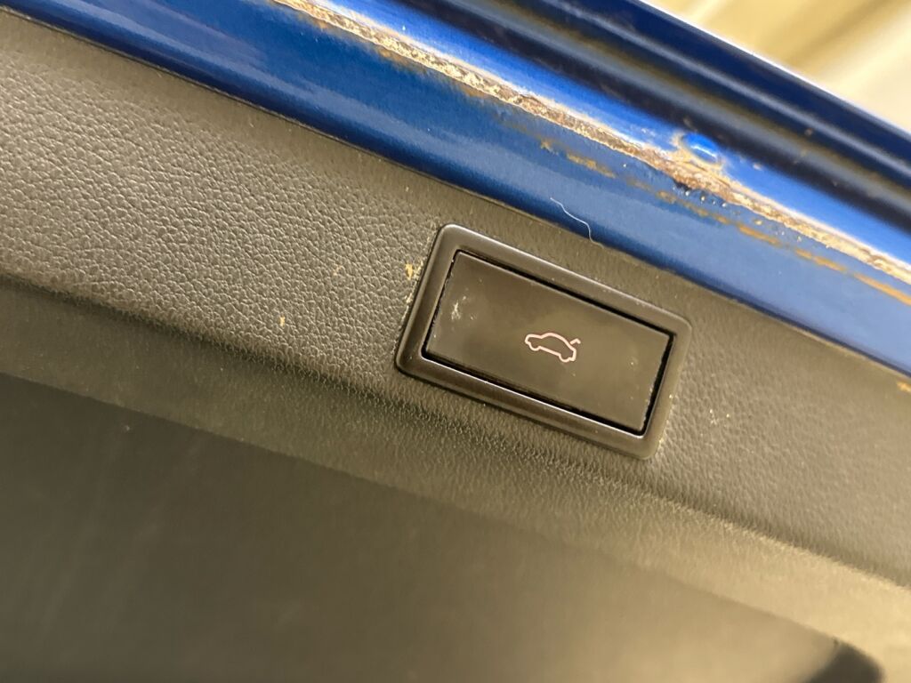 Skoda Octavia 2014 Sininen