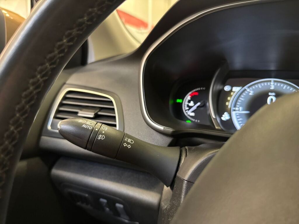 Renault Megane 2017 Ruskea (beige)