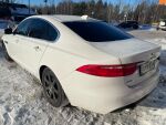 Jaguar XF 2016 Valkoinen