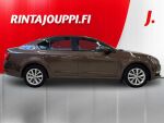 Skoda Octavia 2017 Ruskea (beige)
