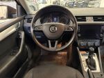 Skoda Octavia 2017 Ruskea (beige)