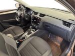 Skoda Octavia 2017 Ruskea (beige)