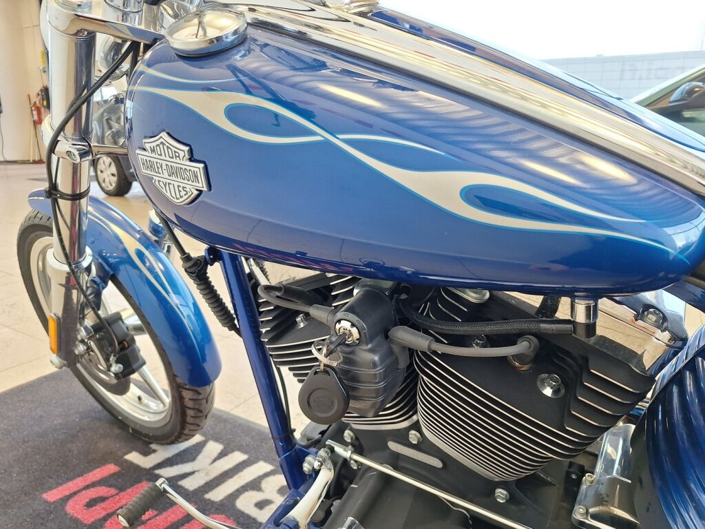 Harley-davidson SOFTAIL 2009 