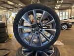 Skoda Octavia 2018 Ruskea (beige)