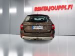 Skoda Octavia 2018 Ruskea (beige)