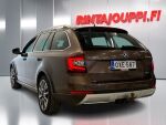 Skoda Octavia 2018 Ruskea (beige)