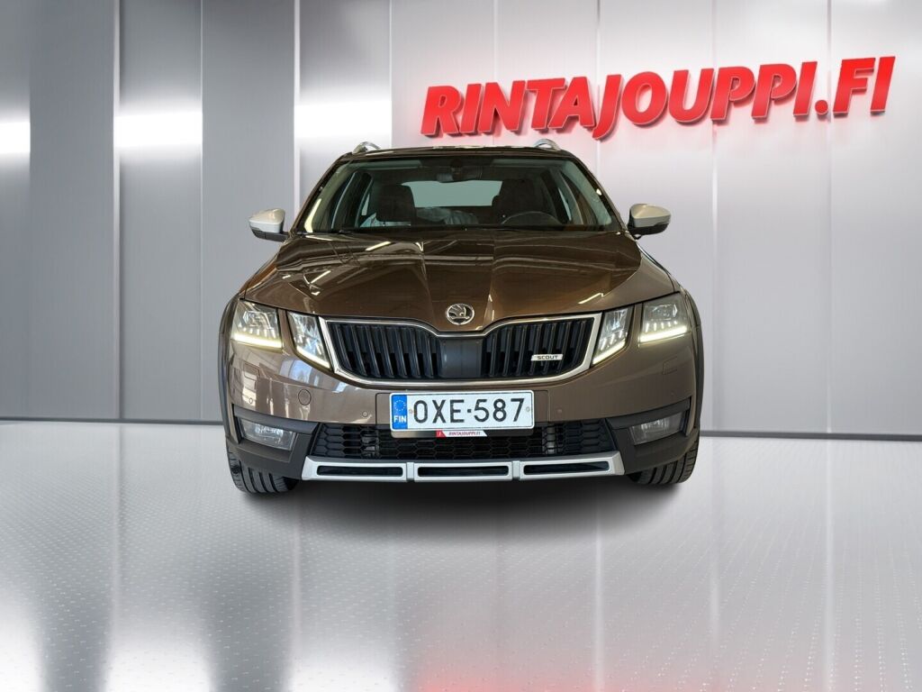 Skoda Octavia 2018 Ruskea (beige)