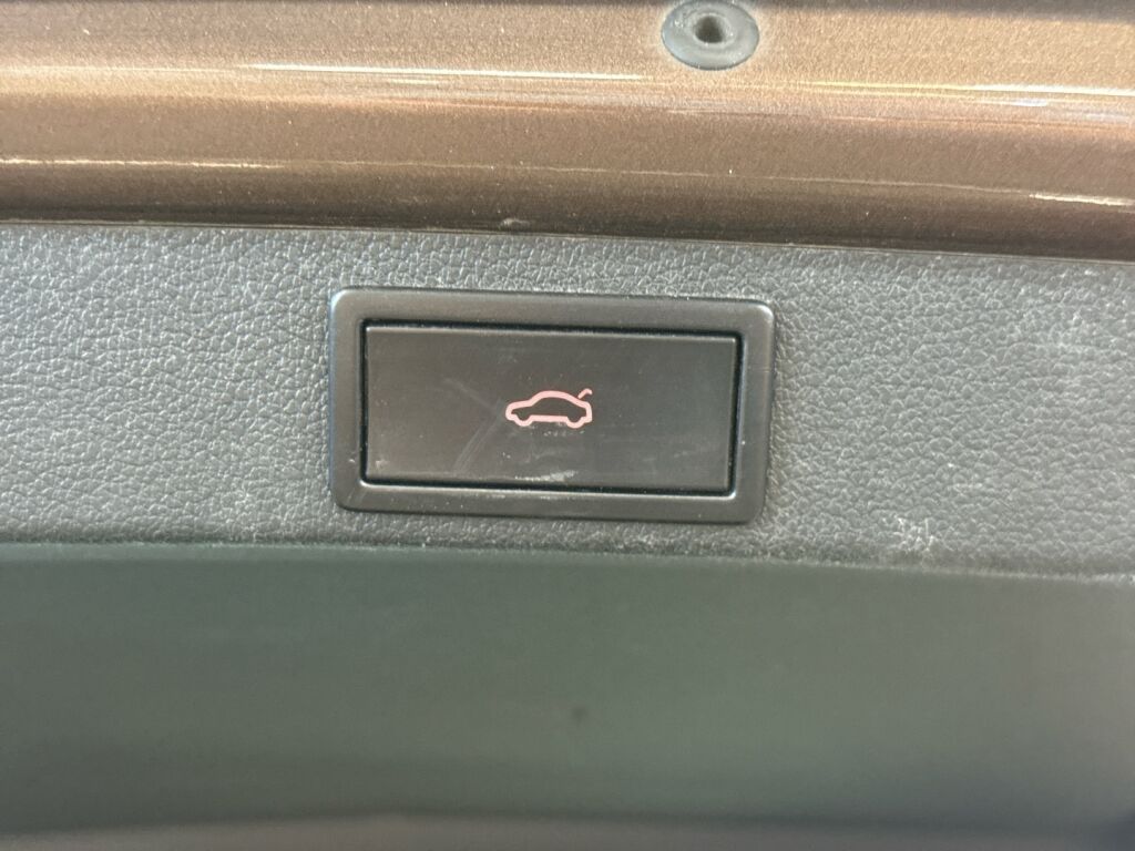 Skoda Octavia 2018 Ruskea (beige)