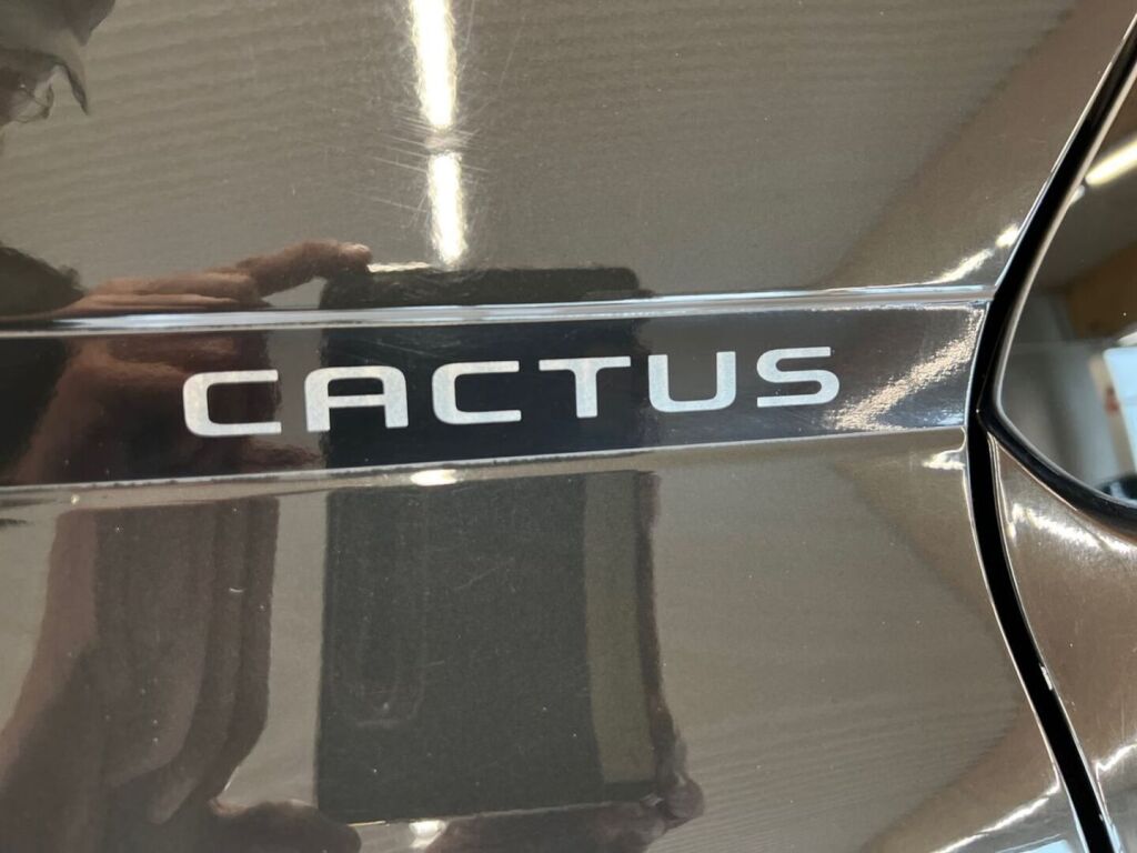 Citroen C4 Cactus 2019 Musta