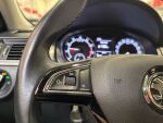 Skoda Rapid 2019 Valkoinen