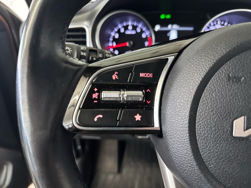 Kia Ceed 2022 Ruskea (beige)