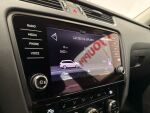 Skoda Octavia 2020 Harmaa