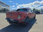Ford Ranger 2023 Punainen
