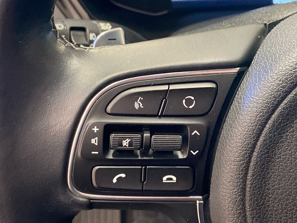 Kia NIRO 2020 Punainen