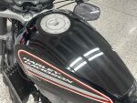 Harley-davidson SPORTSTER 2009 