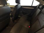 Skoda Octavia 2013 Ruskea (beige)