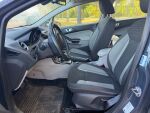 Ford Fiesta 2014 Harmaa