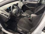 Ford Focus 2016 Valkoinen