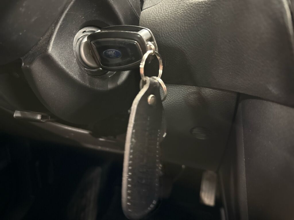 Ford Focus 2016 Valkoinen