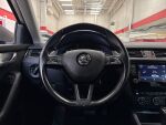 Skoda Octavia 2017 Ruskea (beige)